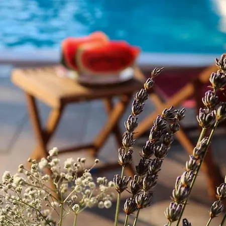 Camp 'dvor' Bell Tent Manjadvorci