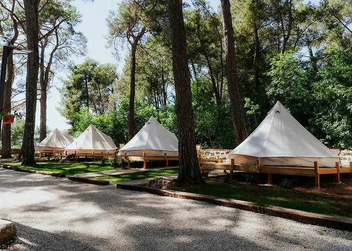 Camp 'dvor' Bell Tent